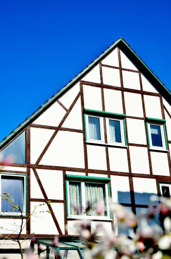 Ferienwohnung Wilhelm Springstille Dış mekan fotoğraf