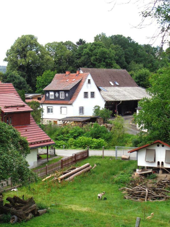 Ferienwohnung Wilhelm Springstille Dış mekan fotoğraf